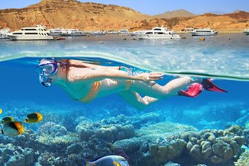 Snorkelling Adventure with Dugongs and Turtles in Marsa Mubarak