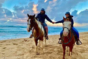 Sharm El Sheikh Horseback Riding with Pickup and Drop-off