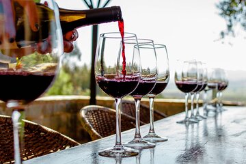 Private Wine Tour at Kingston, William Cole and Casas del Bosque 