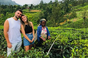 Ultimate 8-Day Sri Lanka Adventure: Private Guided Tour