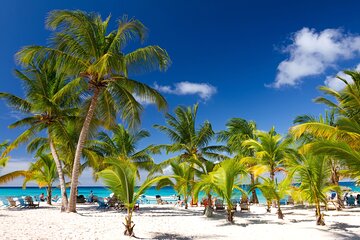 Pick up in Bayahibe: Saona Island Sailing Adventure in catamaran
