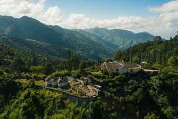 Blue Mountain Highlights Experience