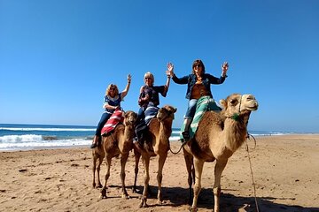camel rights in Tangier