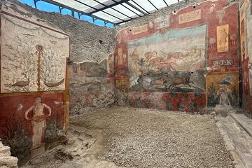 Pompeii Vesuvius with Wine Tasting from Positano