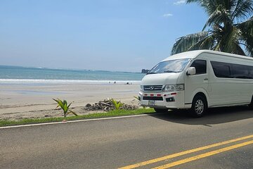 Private Transfer from Liberia Airport to Palapa in Tamarindo
