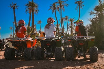 Palm Grove Adventure: Quad and Camel Ride with Transport