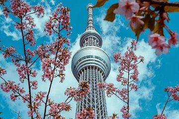 Full Day Private Tokyo Sightseeing Tour