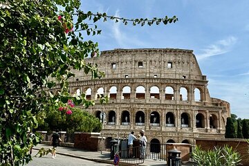 The Colosseum, Roman Forum and Palatine Hill Private Tour