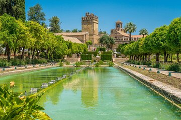 Seville Shore Excursion from Cadiz Port
