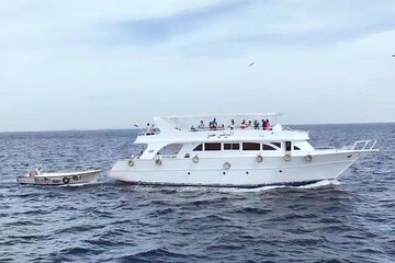 Private Red Sea from Cairo Yacht Tour and fishing in Red Sea 