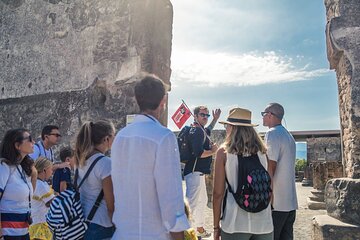 Private Herculaneum Guided Tour from Sorrento