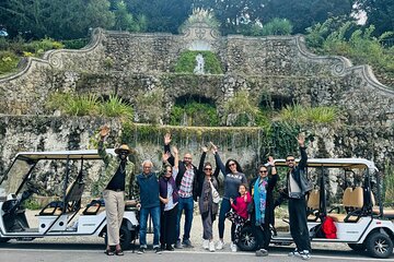 Private Tour in Florence with Electric Golf Car
