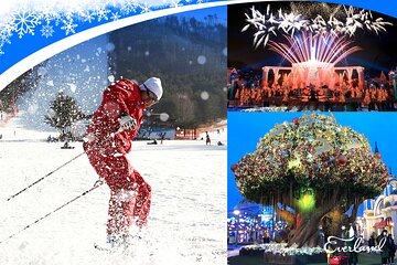 Jisan Forest Ski Resort and Everland 1 Day Tour