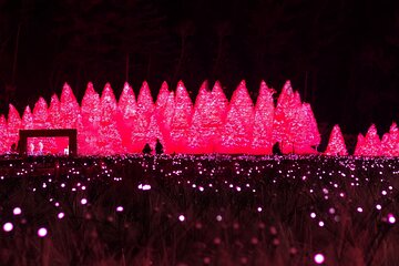Winter One Day Tour in Pocheon with Strawberry