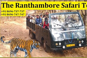 Ranthambore National Park Canter Safari Booking for 20 Seater