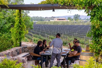 2 Wineries and 1 Distillery Full Day Tour with Lunch in Mendoza