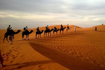 Fes to Marrakech: 3-Day Desert Tour