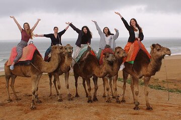 Full-Day Private Guided Tour in Tangier