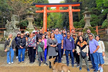 World Heritage Kyoto & Nara Uji Authentic Matcha Experience
