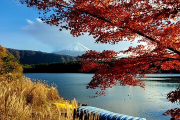 Mt. Fuji English Guide Private Tour for 9 people 