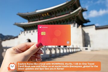 All in One Travel Card in South Korea
