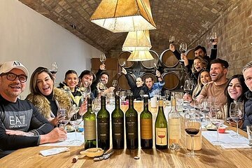 Classic Mendoza wineries with private lunch