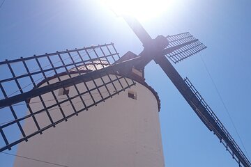 Don Quixote of La Mancha Tour from Madrid