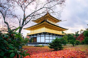 10 Hour Private Customizable Tour to Kyoto from Osaka