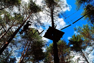 Multi-activities - Arboring + Rapel + Climbing + Slide