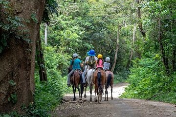 Mega Combo Rincon de la Vieja: Adventure, Nature and Relaxation