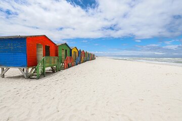 Cape Town Full Day Trip to Cape Peninsula