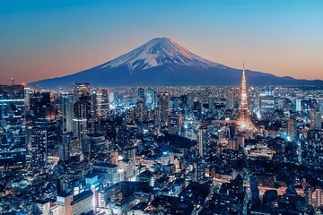 Tokyo 10 hour Customizable Private Tour