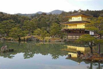 Kyoto Arashiyama Fushimi Inari Taisha Shrine and Nara Park Tour