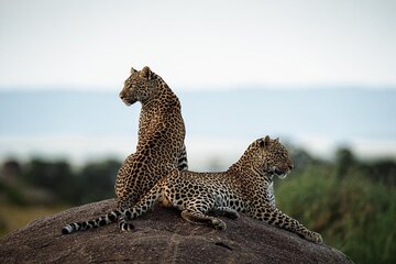 3 Days Tanzania Family Safari