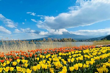  Mount Fuji Four Iconic Scenic Spots Day Tour from Tokyo