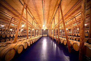 1 day retreat, Wine Tasting in Winery, Yoga in Vineyard and Lunch