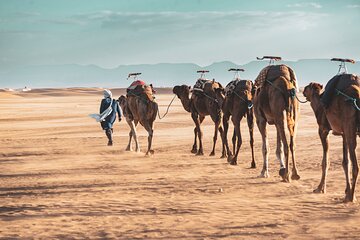 2day Shared tour to zagora desert via Atlas mountains