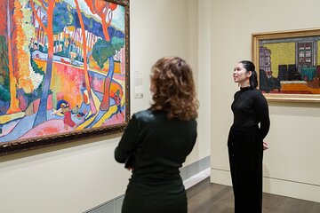 Museum of Fine Arts, Houston All Access Admission Ticket 