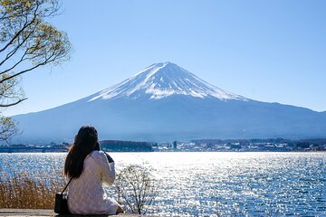 Tokyo: 4 in 1 day - Mount Fuji, Kamakura, Lake Ashi & Big Buddha