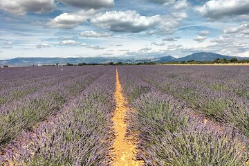Gorges du Verdon : Lavenders, Canyon Boat Picnic & Villages