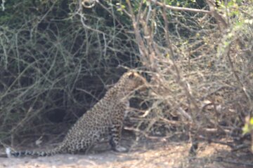 4 Day Victoria Falls, Hwange and Chobe National Park