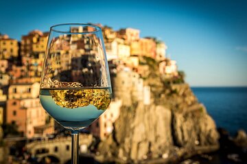 Exclusive Winter Cinque Terre Day Trip from Florence