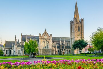 Dublin Discovery: Full-Day Private Tour