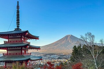 Trip to Mt Fuji and Lake Kawaguchiko with English Speaking Driver