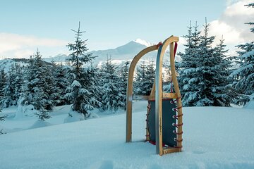 Winter Adventure day in Mountains: 3 km sledge ride 