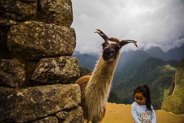 Sacred Valley and Machu Picchu 2 Day Tour 