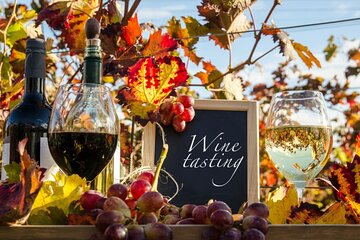 Cooking Class & Wine Tasting in a Chianti Farm