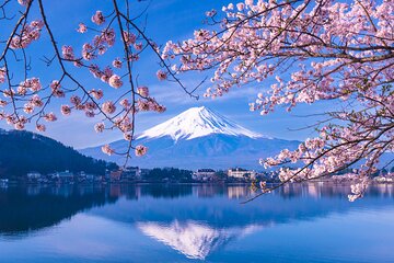 From Tokyo: Visit Mt. Fuji 5th Station, Arrive in Kawaguchiko