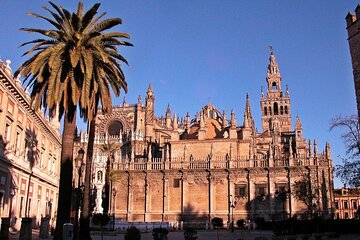 Private Tour of the Cathedral and Alcazar of Seville Includes Tickets