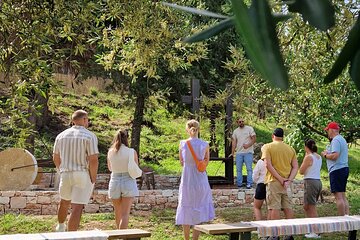 North Corfu Olive Tour With Olive oil Tasting & Meze